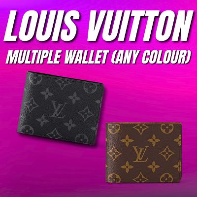 LOUIS VUITTON MENS MULTIPLE WALLET