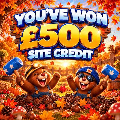 £500 SITE CREDIT