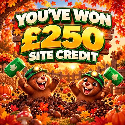 £250 SITE CREDIT