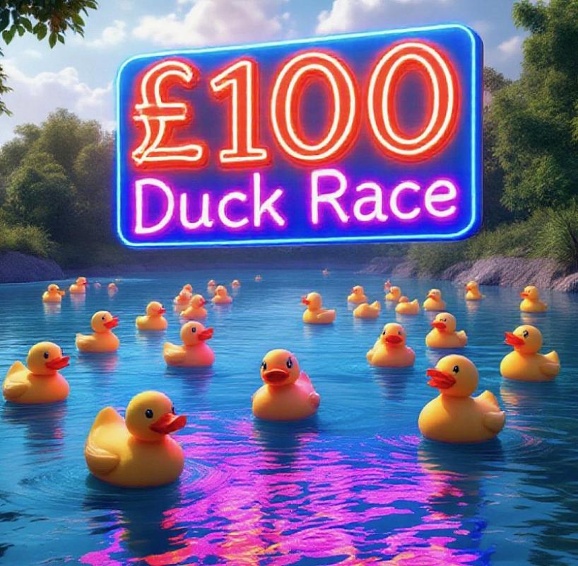 Buy One Get One FREE! Ducks