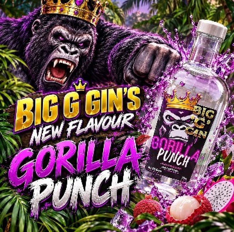 🦍5 WINNERS OF THE NEW BIG G GIN GORILLA PUNCH 🦍#2