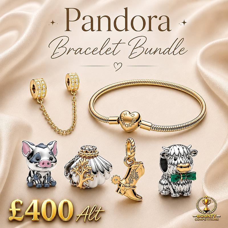 💖 Pandora Bracelet Bundle 💖