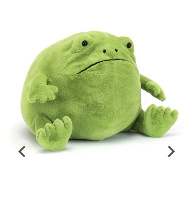 Ricky Rain Frog