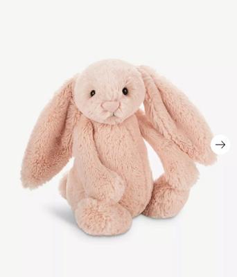 Bashful Bunny