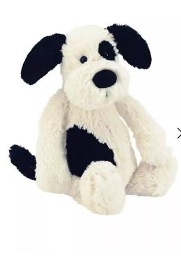 Bashful Puppy