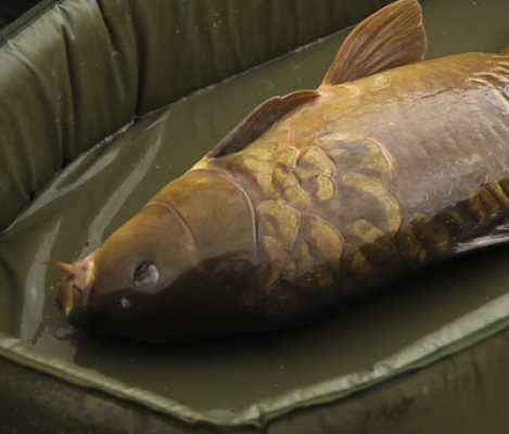 Trakker Sanctuary Self Inflating Crib or £75