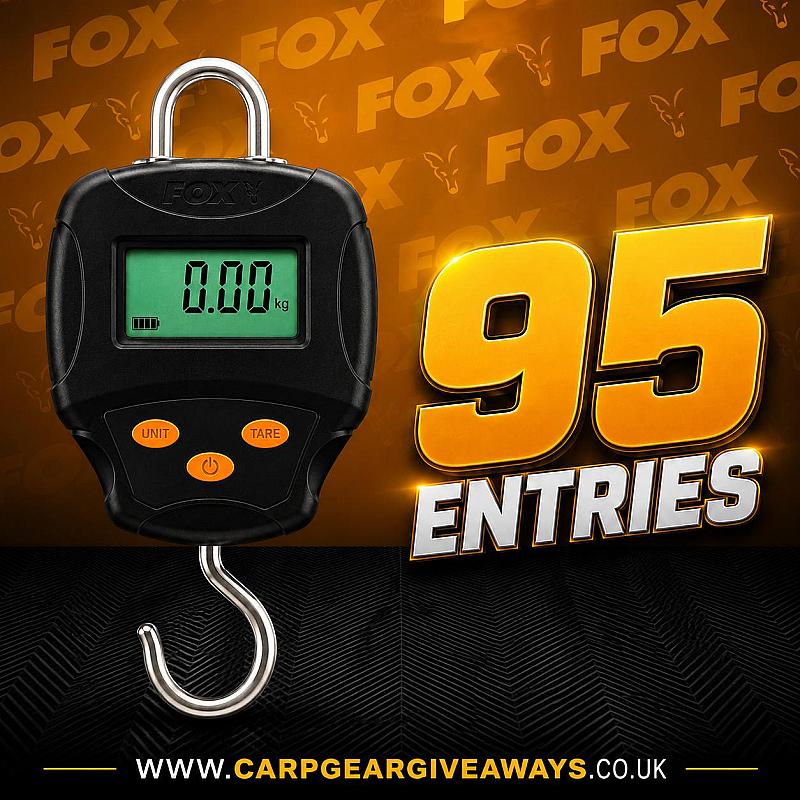 95 ENTRIES ONLY - FOX DIGITAL SCALES 