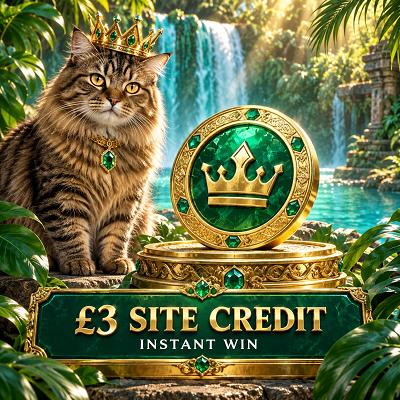 £3 Site Credit