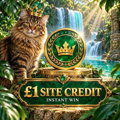£1 Site Credit