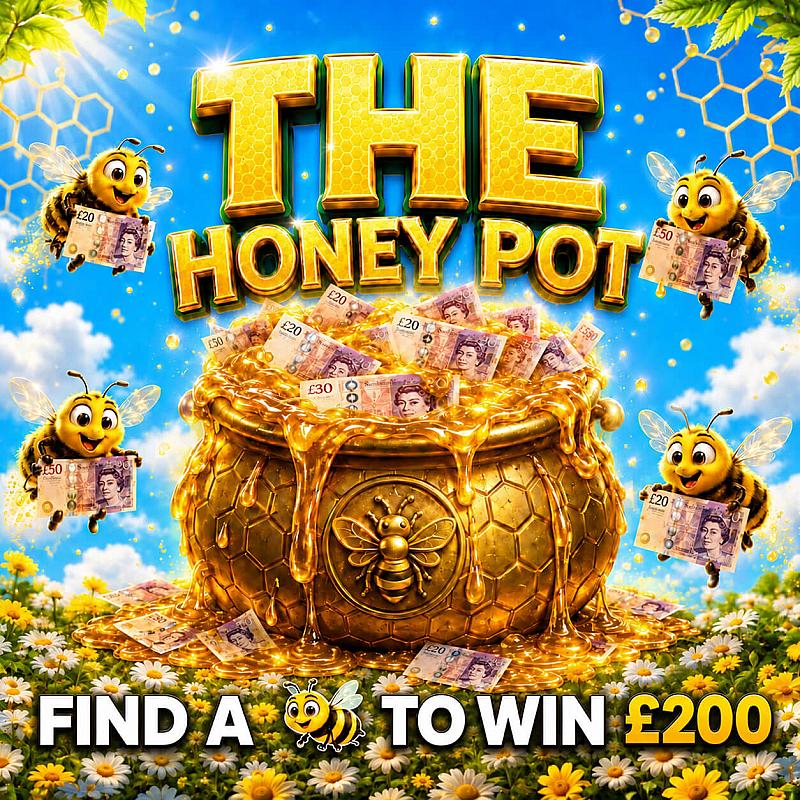 THE HONEY POT 🍯🐝