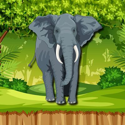 🐘 Elephant - £300 Cash 💷