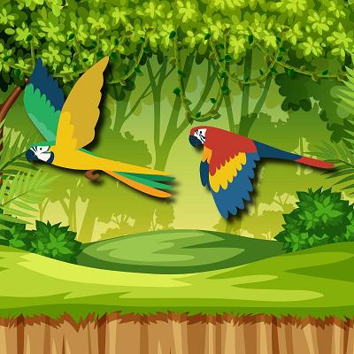 🦜 Parrot - £75 Cash 💷