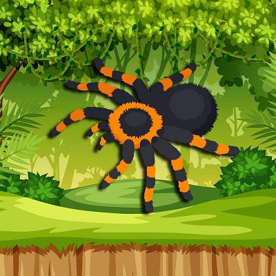 🕷️ Spider - £5 Credit 💸