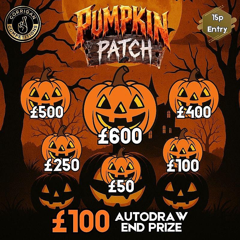 Pumpkin Patch #2