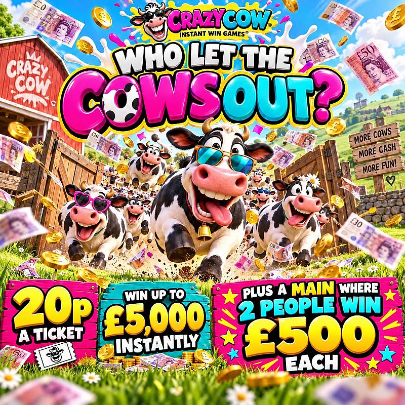Who let the cows out? 