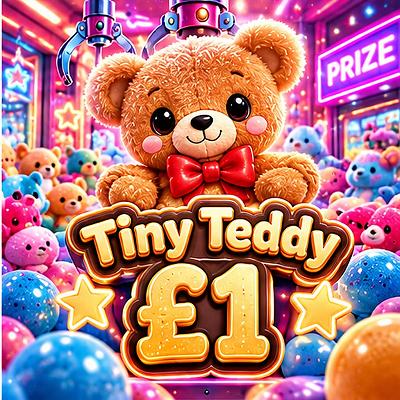 Tiny teddy £1