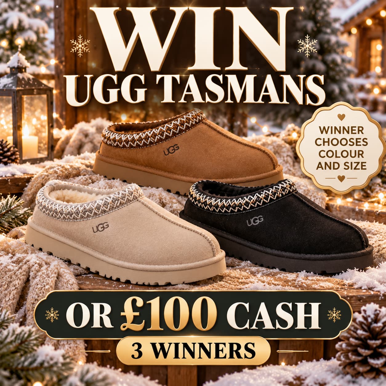 X3 WINNERS OF UGG TASMANS