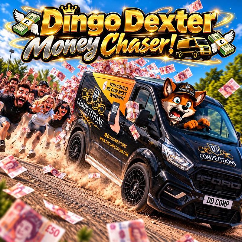 💸 Dingo Dexter Money Chaser! 🚐💸