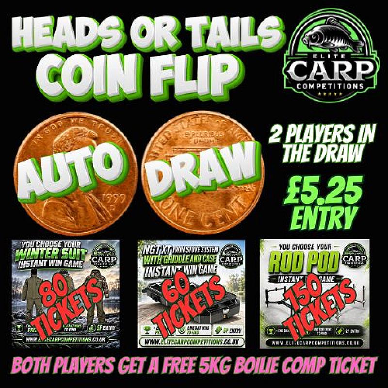 HEADS OR TAILS COIN FLIP AUTO DRAW GAME G1