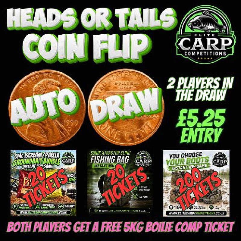 HEADS OR TAILS COIN FLIP AUTO DRAW GAME G2