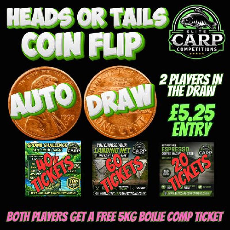 HEADS OR TAILS COIN FLIP AUTO DRAW GAME PL1