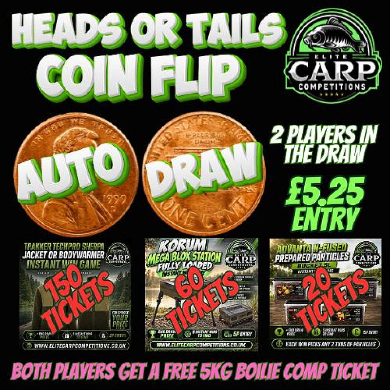 HEADS OR TAILS COIN FLIP AUTO DRAW GAME PL4