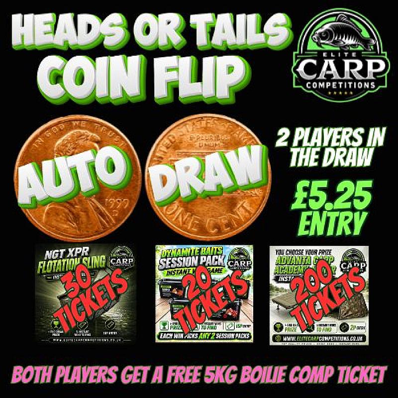 HEADS OR TAILS COIN FLIP AUTO DRAW GAME PL6