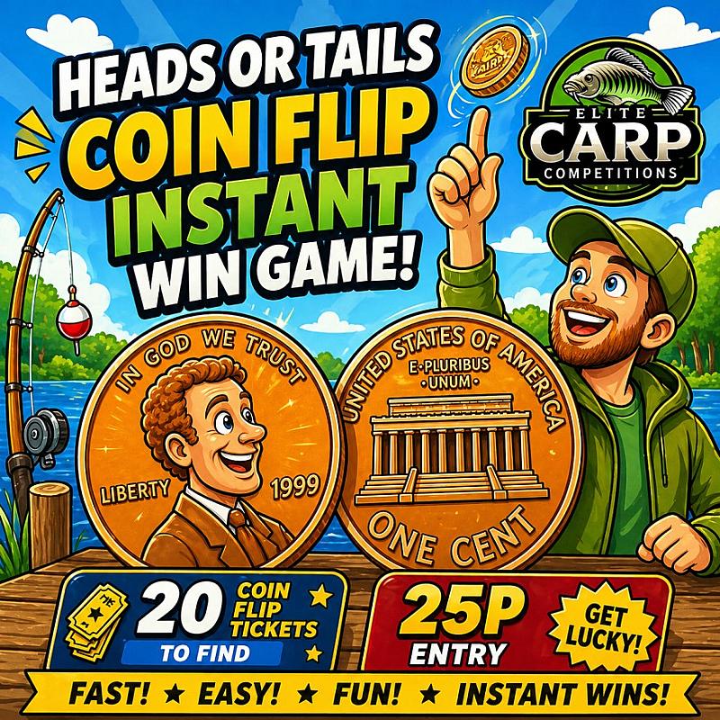 HEADS OR TAILS COIN FLIP INSTANT WIN GAME#H76