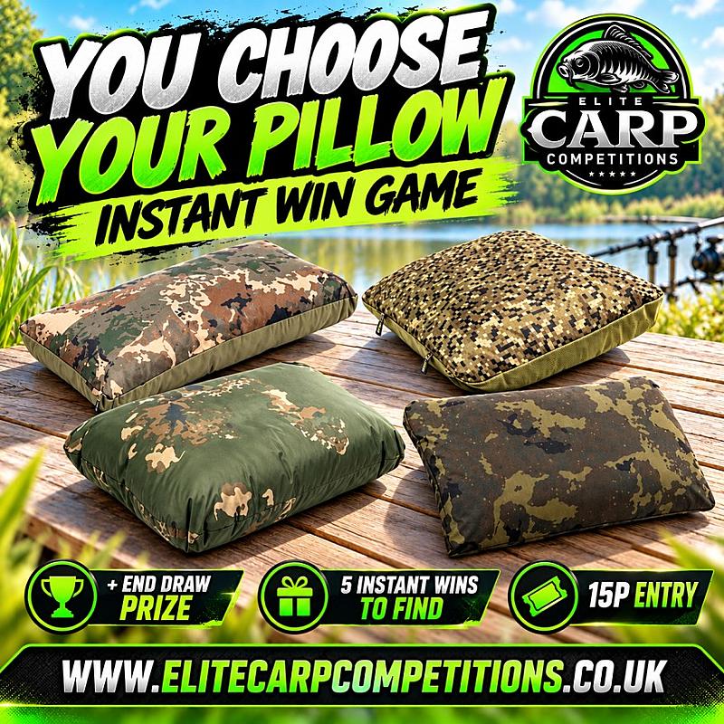 YOU CHOOSE YOUR PILLOW INSTANT WIN GAME + END DRAW#2