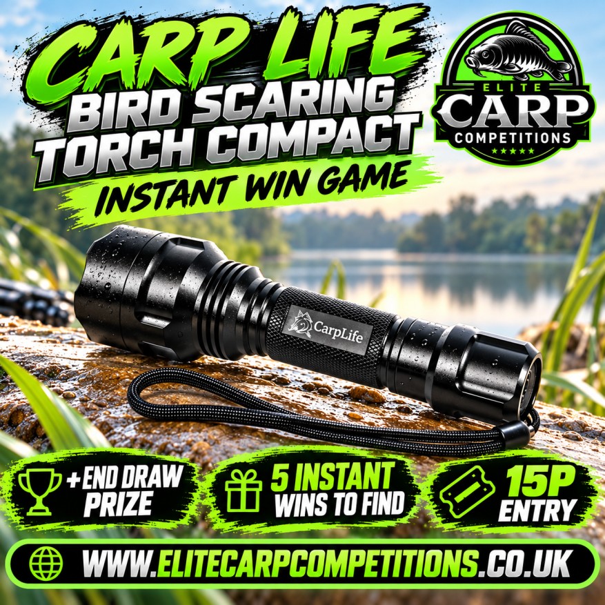CARP LIFE BIRD SCARING TORCH INSTANT WIN GAME + END DRAW
