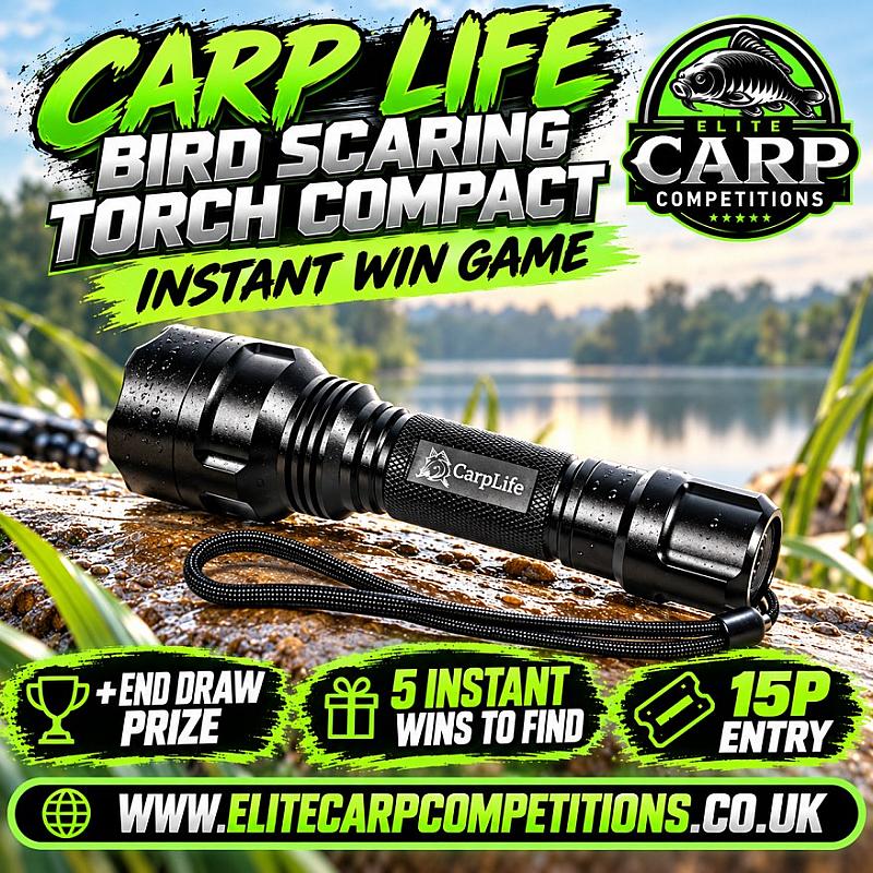 CARP LIFE BIRD SCARING TORCH INSTANT WIN GAME + END DRAW