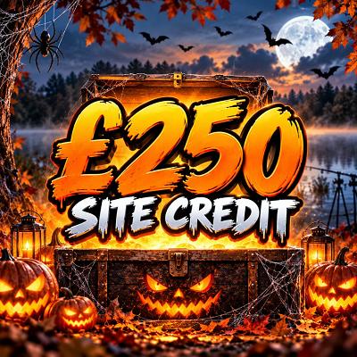 YOU WIN £250 SITE CREDIT