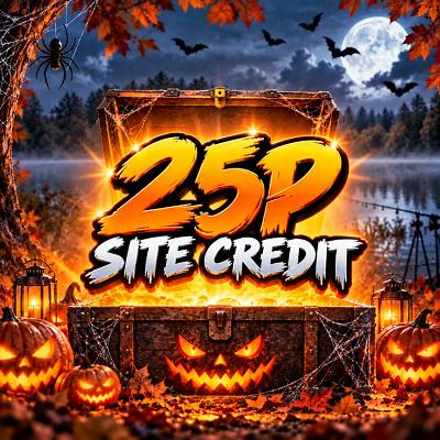 YOU WIN 25P SITE CREDIT