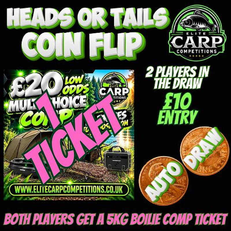 HEADS OR TAILS COIN FLIP AUTO DRAW GAME FDF