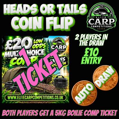 HEADS OR TAILS COIN FLIP AUTO DRAW GAME FDF