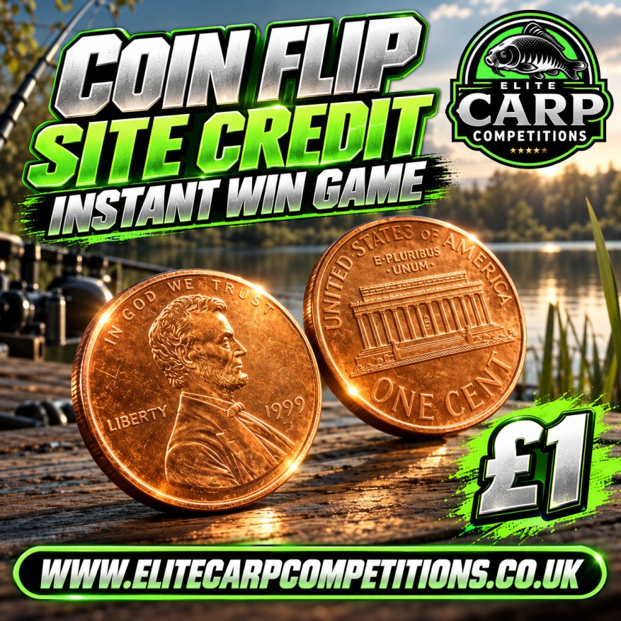 COIN FLIP SITE CREDIT INSTANT WIN GAME 