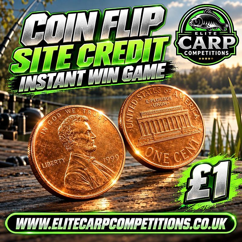 COIN FLIP SITE CREDIT INSTANT WIN GAME 
