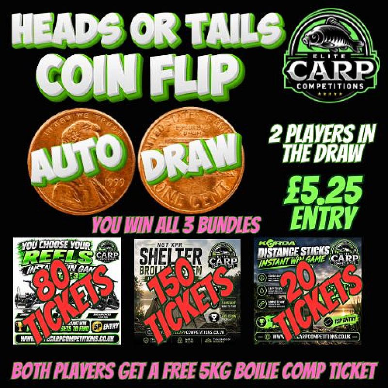HEADS OR TAILS COIN FLIP AUTO DRAW GAME F1