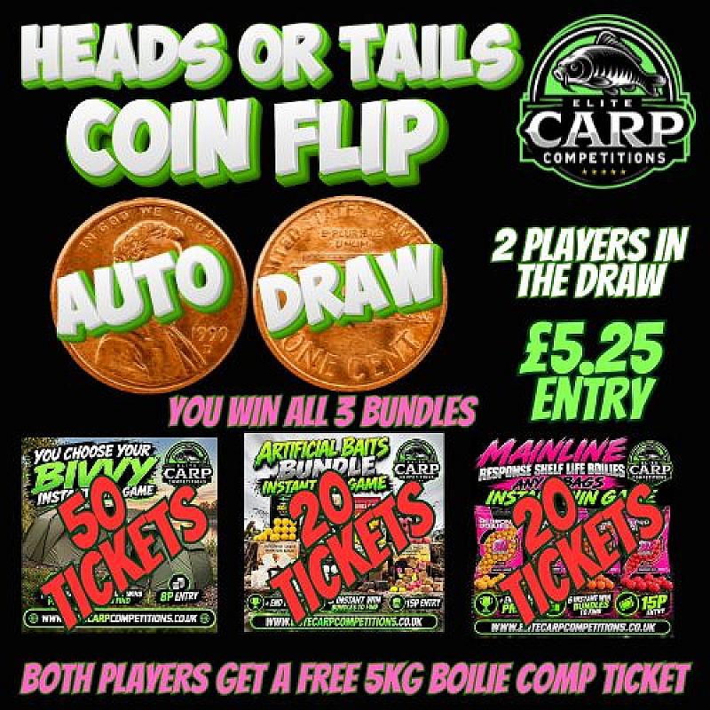 HEADS OR TAILS COIN FLIP AUTO DRAW GAME F3