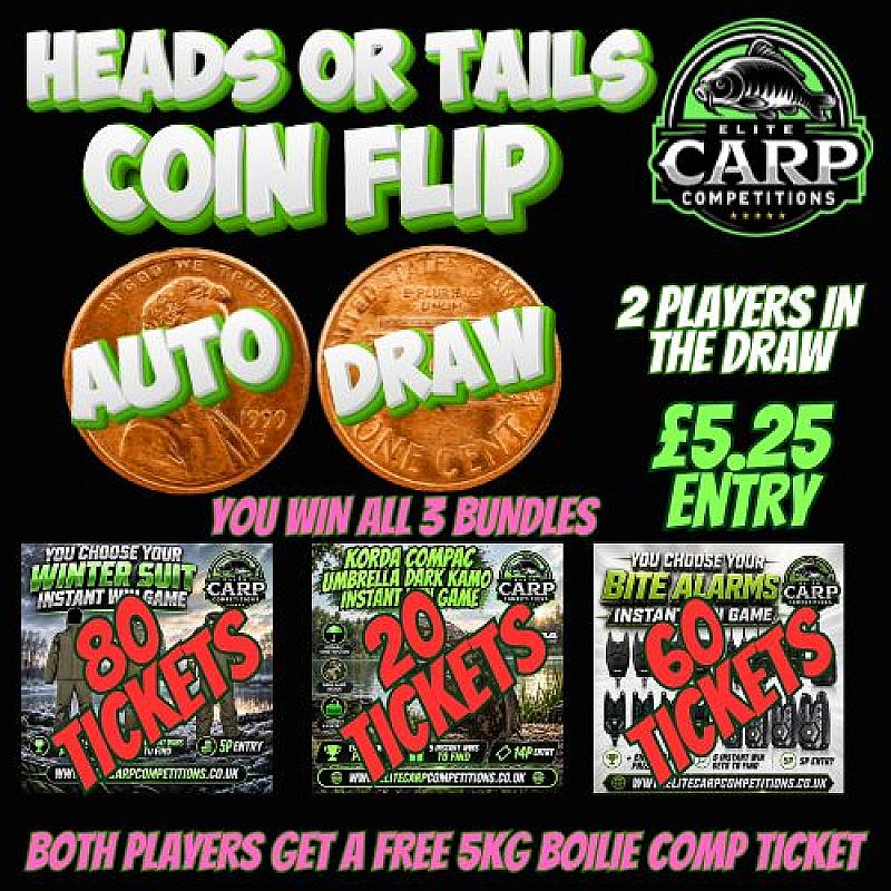 HEADS OR TAILS COIN FLIP AUTO DRAW GAME F5
