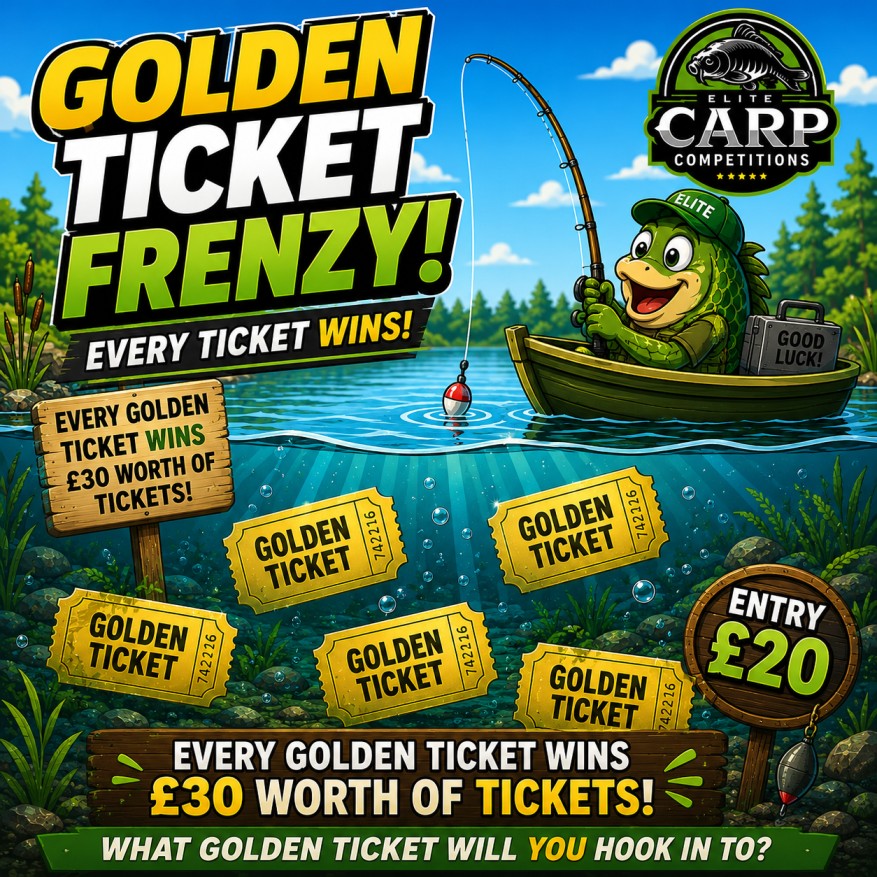 GOLDEN TICKET FRENZY EVERY TICKET WINS GAME#8