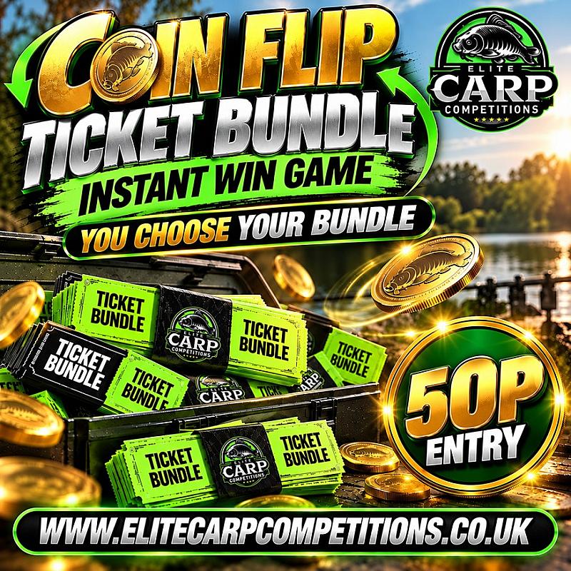 COIN FLIP YOU CHOOSE YOUR TICKET BUNDLE INSTANT WIN GAME#B1