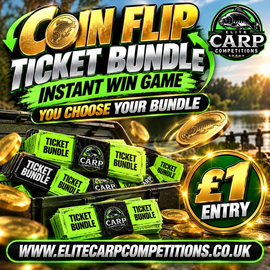 COIN FLIP YOU CHOOSE YOUR TICKET BUNDLE INSTANT WIN GAME B2