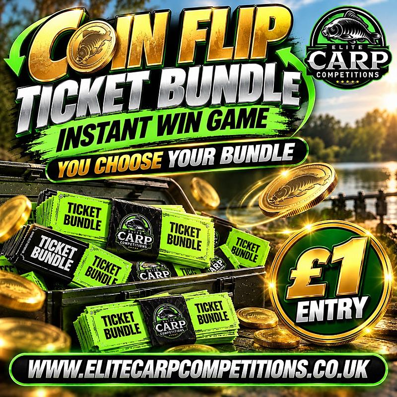 COIN FLIP YOU CHOOSE YOUR TICKET BUNDLE INSTANT WIN GAME W2