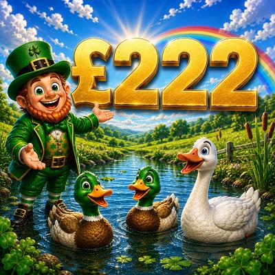 DUCK DUCK GOOSE - £222