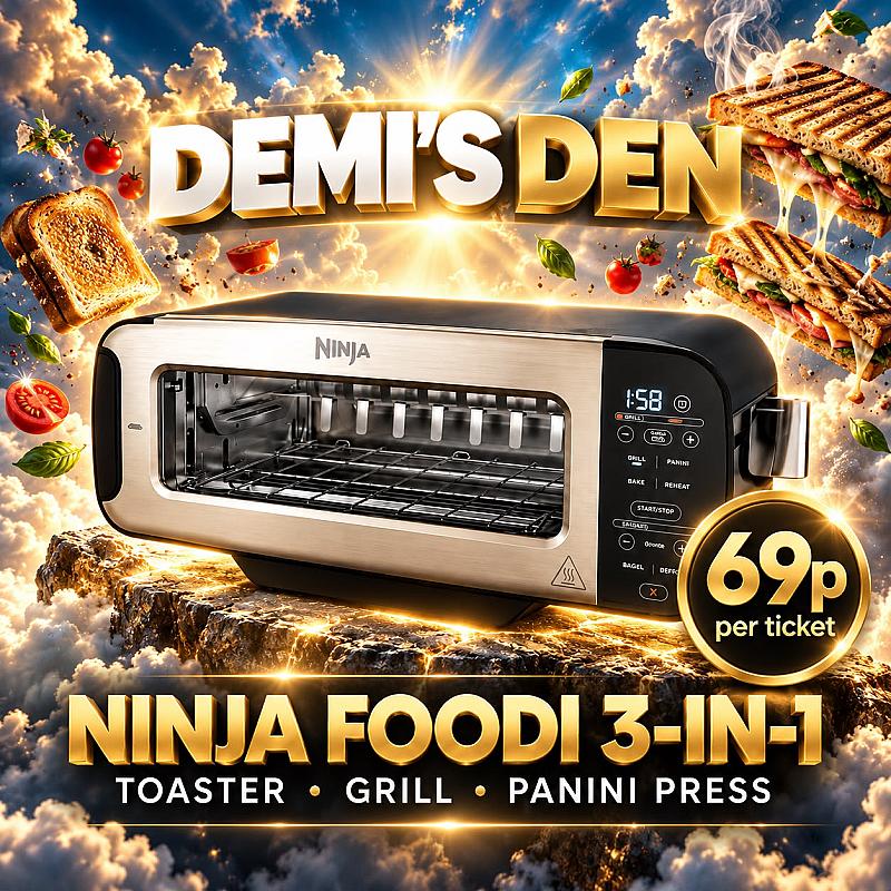 Demi’s Den: Ninja Foodi 3-in-1