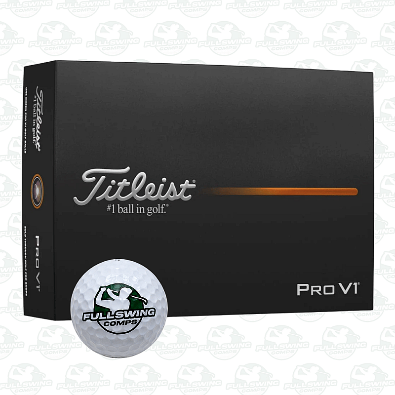 2 DOZEN PRO V1 GOLF BALLS!