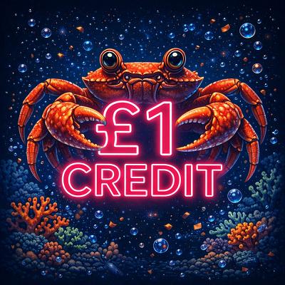 £1 CREDIT 