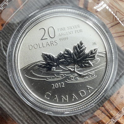 2012 Canadian $20 Farewell to the Penny Silver Coin - or £15 cash or Site Credit!
