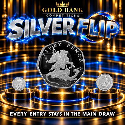 SILVER FLIP